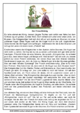 Der Froschkönig.pdf